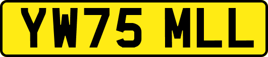 YW75MLL