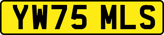 YW75MLS