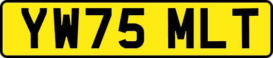 YW75MLT