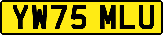 YW75MLU