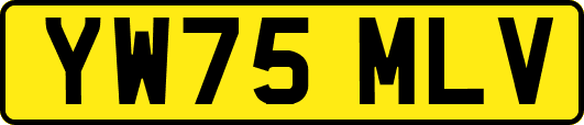 YW75MLV