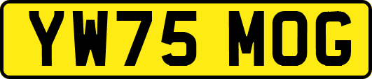 YW75MOG