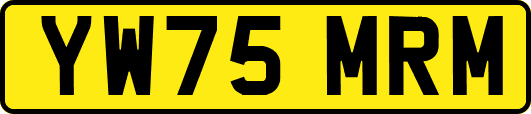 YW75MRM