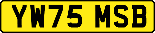 YW75MSB