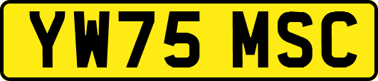 YW75MSC