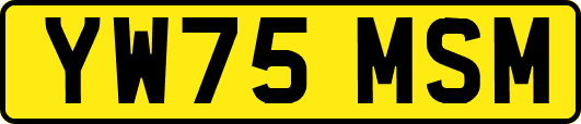 YW75MSM