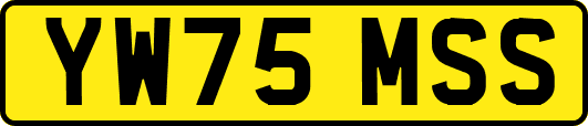 YW75MSS