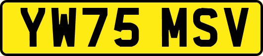 YW75MSV