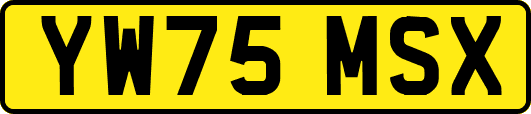 YW75MSX
