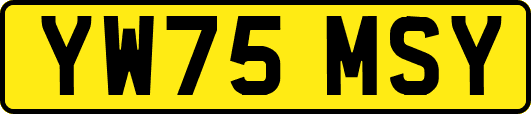 YW75MSY