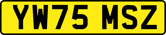 YW75MSZ
