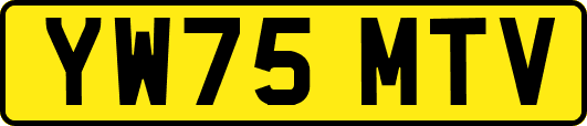 YW75MTV