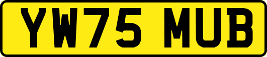 YW75MUB