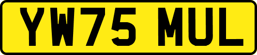YW75MUL
