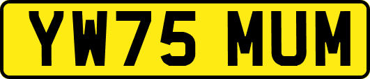 YW75MUM