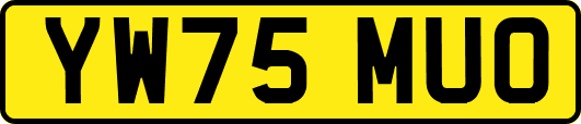 YW75MUO