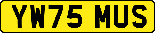 YW75MUS