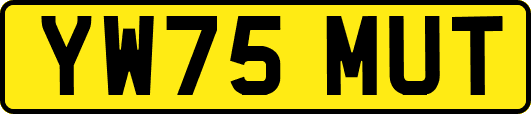 YW75MUT