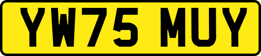 YW75MUY