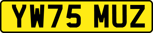 YW75MUZ