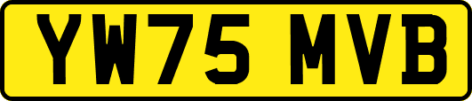 YW75MVB