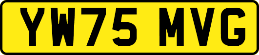 YW75MVG