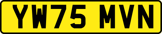 YW75MVN