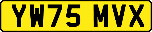 YW75MVX