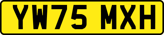 YW75MXH