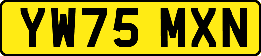 YW75MXN