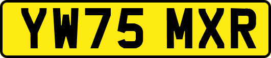 YW75MXR