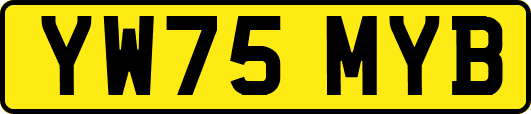 YW75MYB