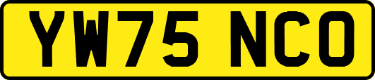 YW75NCO