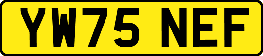 YW75NEF