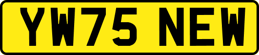 YW75NEW