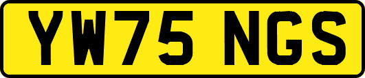 YW75NGS