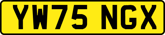 YW75NGX