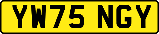 YW75NGY