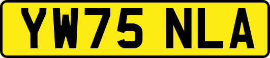 YW75NLA