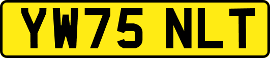 YW75NLT