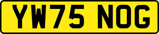 YW75NOG