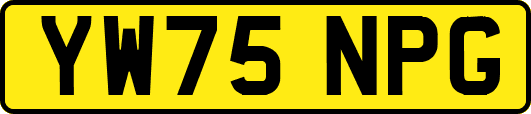 YW75NPG