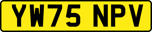 YW75NPV