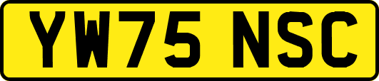 YW75NSC