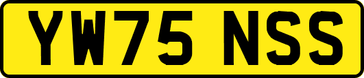 YW75NSS