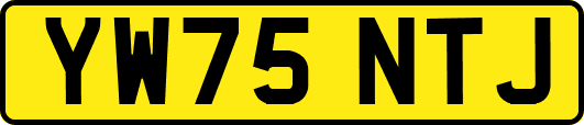 YW75NTJ