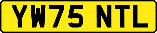 YW75NTL
