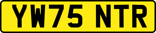 YW75NTR