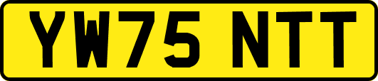 YW75NTT