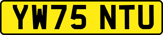 YW75NTU